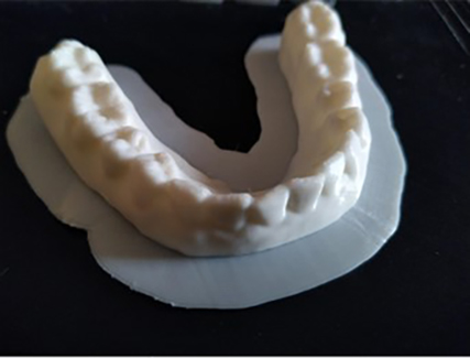 Dentistry Model