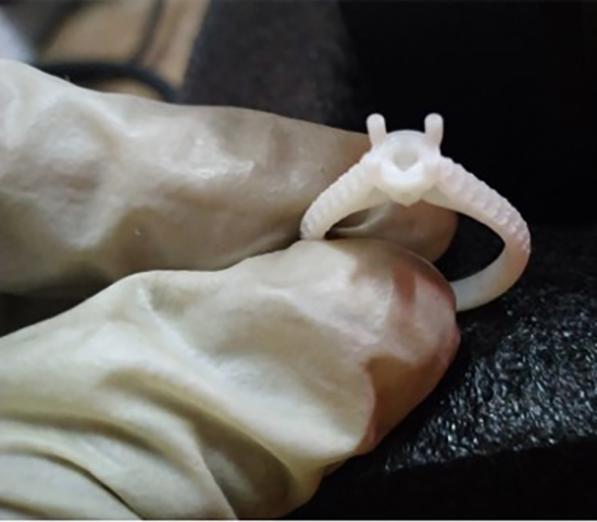 Jewellery Mold